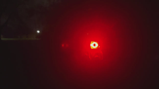 EGX lygtesæt til cykel baglygte